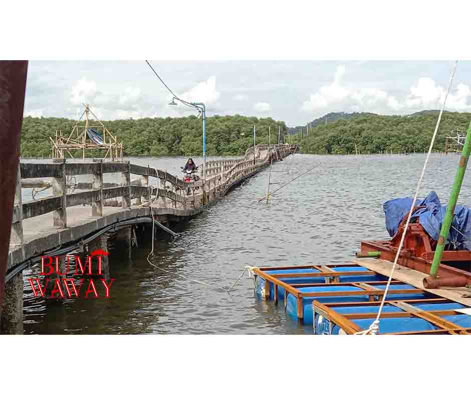 Proyek Jembatan Pulau Pasaran Tertunda