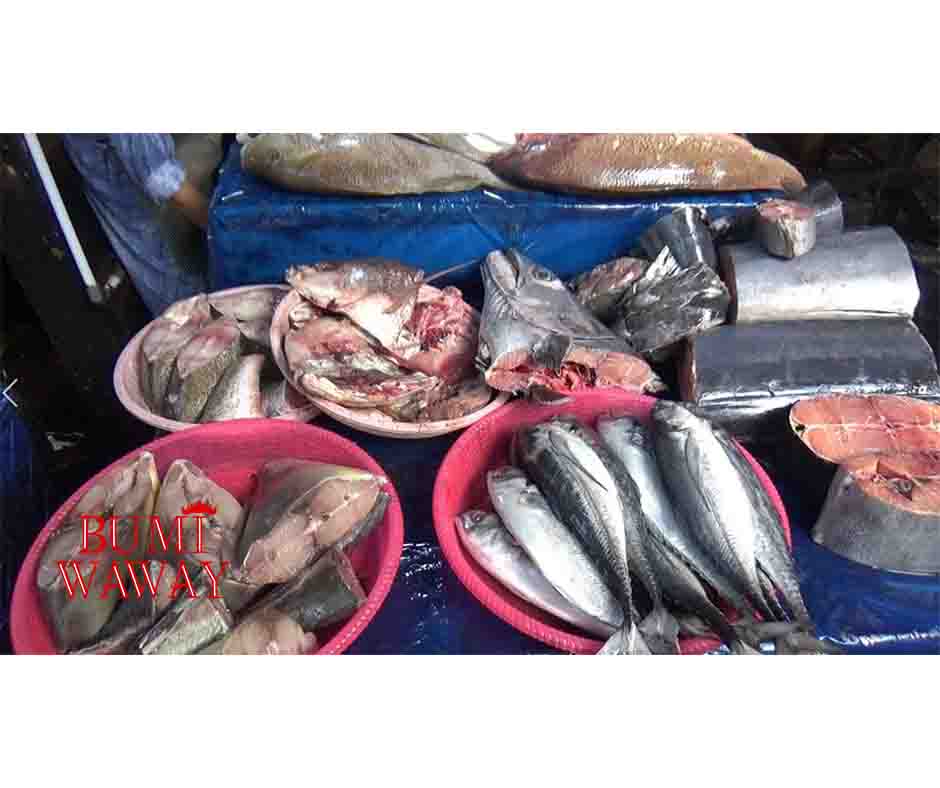Harga Ikan Laut Naik