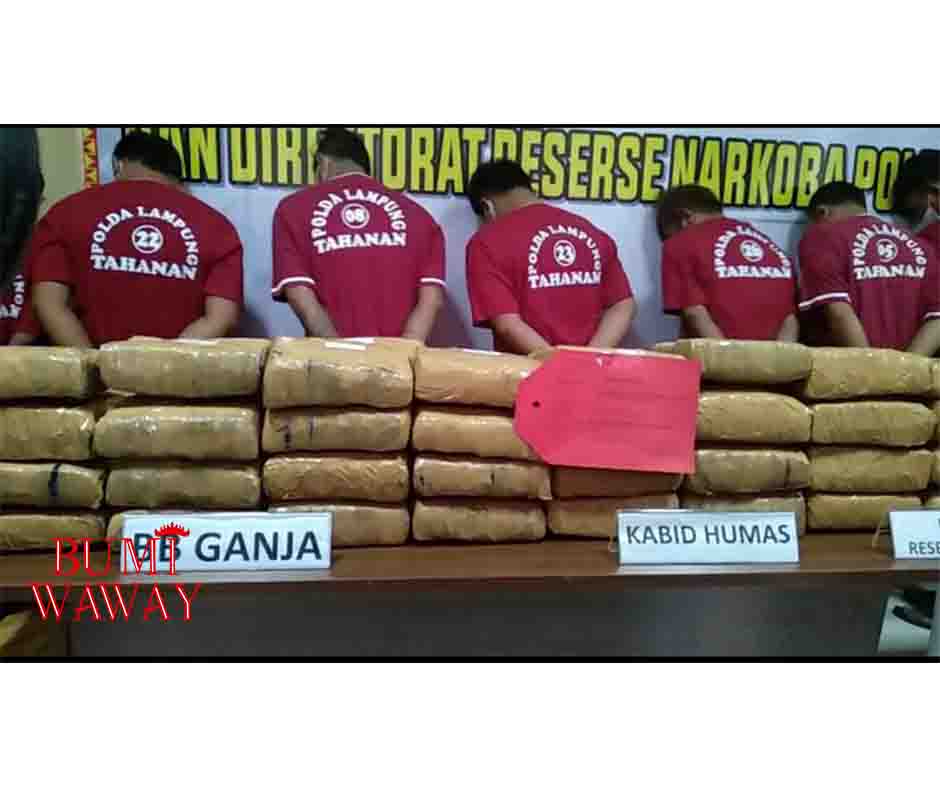 POLDA LAMPUNG TANGKAP SEBELAS TERSANGKA KASUS NARKOTIKA SIAP EDAR