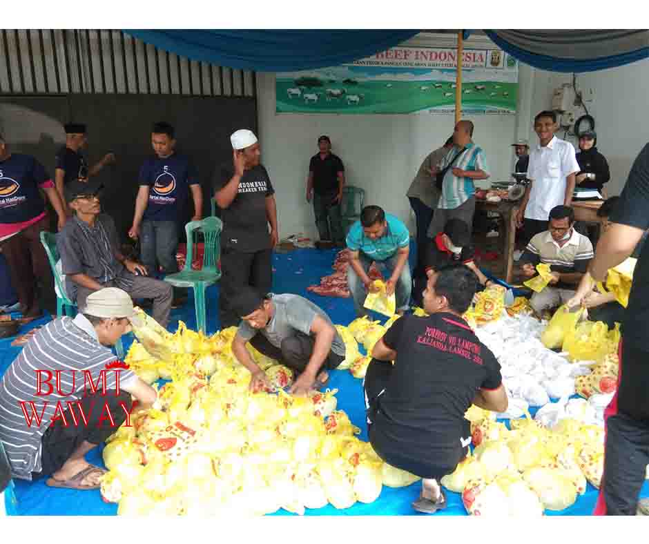 DPW PARTAI NASDEM LAKUKAN PENYEMBELIHAN HEWAN KURBAN