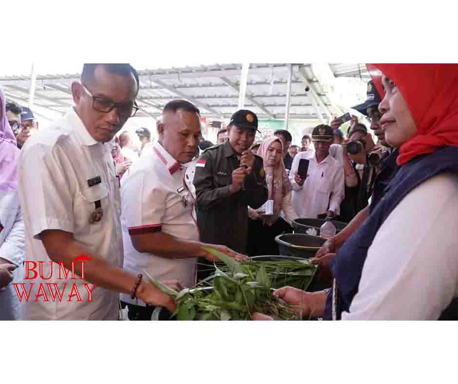 TINGKATKAN KUALITAS SDM, PEMKAB LAMPUNG SELATAN GELAR PELATIHAN TEMATIK TRICODHERMA KEPADA PETANI