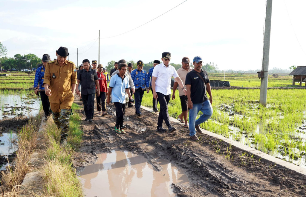 Bupati Egi Turun ke Sawah! Janji Tuntaskan Jalan Tani yang Terbengkalai Puluhan Tahun