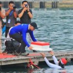 Upacara Unik, Gubernur Rahmat Mirzani Jadi Inspektur Upacara Peringatan HUT ke-80 RI di Atas Laut