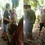 Irigasi Rusak, Petani Buay Nyerupa Alami Gagal Panen