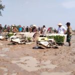 Di Hamparan Sawah Sumbersari, Kajati Lampung Tinjau Tanam Padi Petani Tergabung Dalam Program PMA